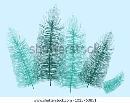  Beautiful Hand Drawn Feathers. Feathers Isolated. Fluff for Wallpaper, Illustration, Carnival, Masquerade, Invitation, Paper, Textile. Decoration Element for Your Design. Blue Feathers. Fluffy.