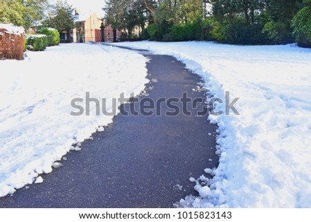 The long asphalted road in the park cover with the white snow background green trees and house and blue sky, feeling very cold. Concept Snowy day in the winter.