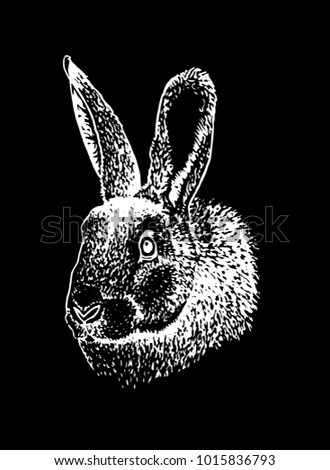Graphical portrait of bunny isolated on black background,vector