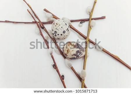 Spring greeting card. Easter eggs with willow branch on white wooden background. Easter concept. Flat lay. Spring flowers tulips