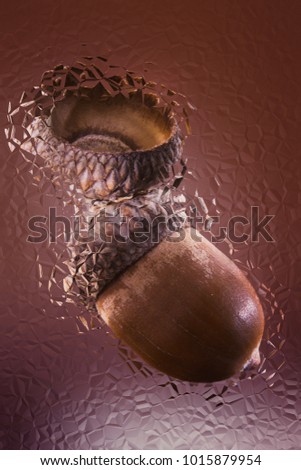 acorn of oak on the background of a broken mirror