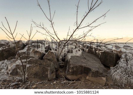 Rocks and tree covered in ice on rocky beach with yellow sunset