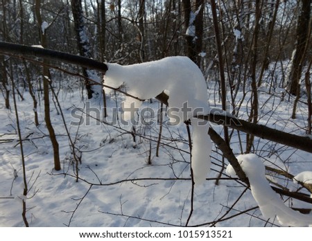 Change in temperature led to melting of snow lying on branches. As a result, fantastic figures of animals were formed.