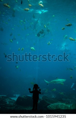 Silhouette of little child in front of large aquarium tank. Pointing at fish in the water.