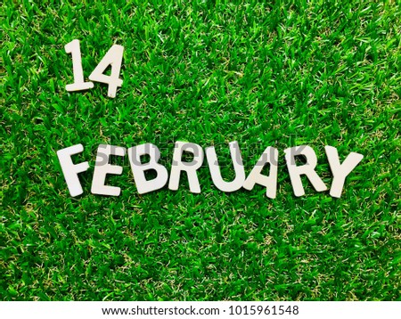 14,February on green grass background with space for your text and design.