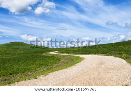 road in the green