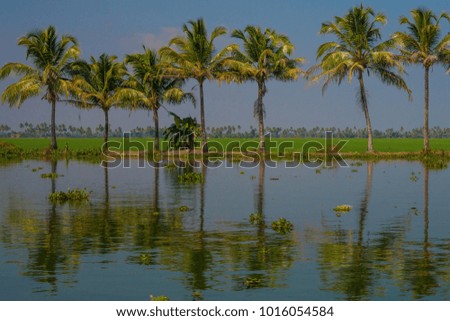Beautiful view of Kerala backwaters, India