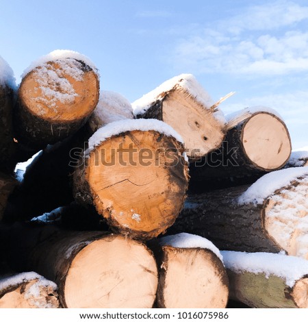 Timber in the north