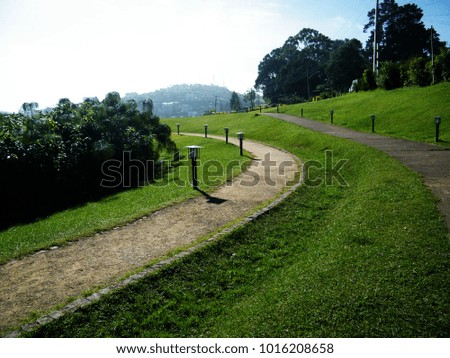 Green pathway in Gregory lake park Nuwaraeliya, Sri Lanka
