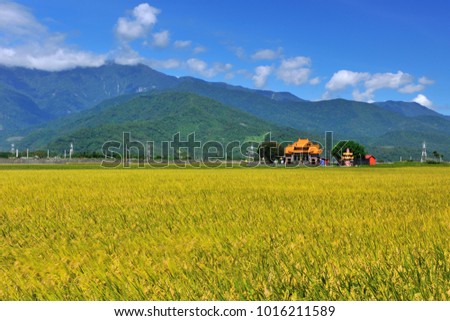 Taiwan, Taitung, the blue sky and yellow paddy fields in the middle of the Red Temple is a beautiful picture. Chinese characters on the plaque: Ford Palace.