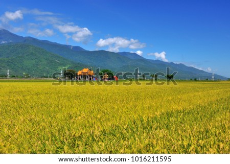 Taiwan, Taitung, the blue sky and yellow paddy fields in the middle of the Red Temple is a beautiful picture. Chinese characters on the plaque: Ford Palace.