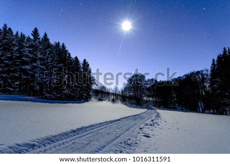 snow and moonlight