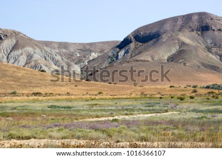 blooming grass on a background of mountains