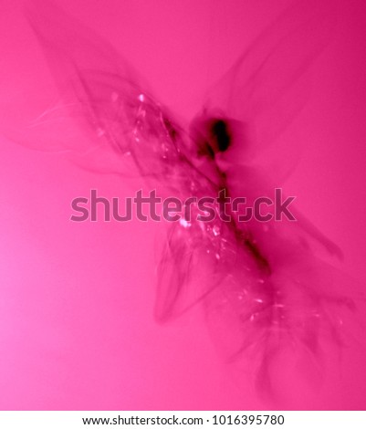 Guardian Angel, long exposure photograph, fairy illustration