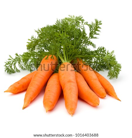 Carrot vegetable with leaves isolated on white background cutout Royalty-Free Stock Photo #1016403688