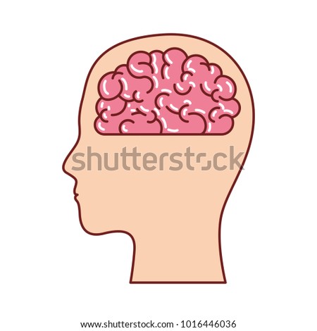 human face silhouette with brain inside in colorful silhouette with brown contour