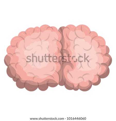 brain side view in realistic colorful silhouette