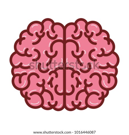 brain top view in colorful silhouette with thick brown contour