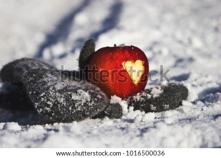 Red apple in snow with a heart on warm winter gloves