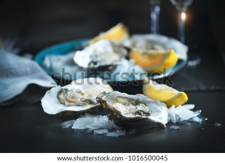 Fresh Oysters close-up on blue plate, served table with oysters, lemon and ice. Healthy sea food. Oyster dinner with champagne in restaurant. Gourmet food. Royalty-Free Stock Photo #1016500045