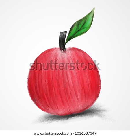 Red Apple Painted watercolor vector illustration, hand drawn apple isolated, Sketch of fruit.