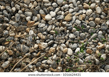 Stone texture, rock surface level, pebble background for web site or mobile devices