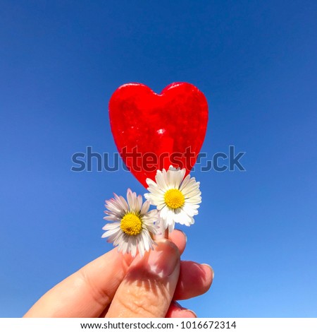 One person with a red candy heart and daisies on her hand on spring time