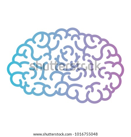 brain side view in degraded blue to purple color contour