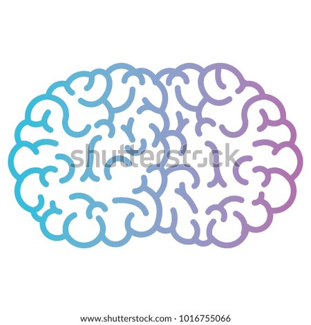 brain side view in degraded blue to purple color contour