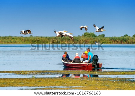Tourist watching the Pelican Birds wildlife fauna in the Danube Delta