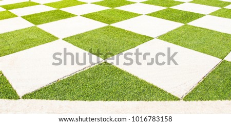 Green grass in the square hole of concrete slabs on the pathway / checkers pattern