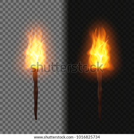 Fire torch, vector.