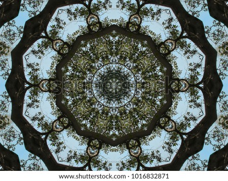 Abstract kaleidoscope seamless background pattern of sea view of mangrove forest from the restaurant with trees in foreground.