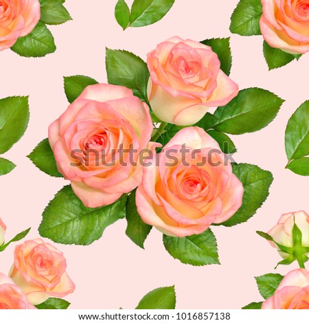 Seamless background with Pink roses.