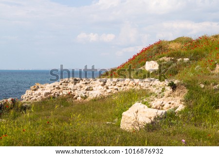 Crimea, Russia. Flowering wild flowers and poppies, slopes, ancient stones and clouds, an ancient city in the territory of Sevastopol.