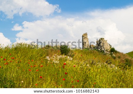 Crimea, Russia. Flowering wild flowers and poppies, slopes, ancient stones and clouds, an ancient city in the territory of Sevastopol.
