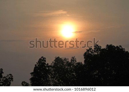 clear sun rise sky background. beautiful sunrise morning and natural scenery of tree and green leaves.