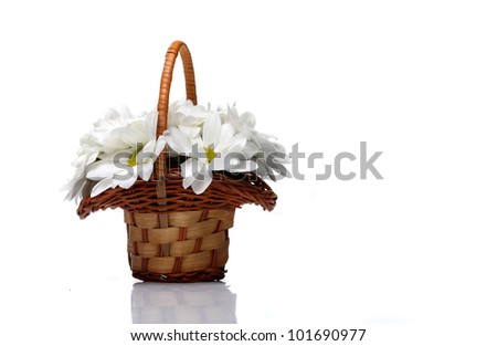 white daisies in a small basket