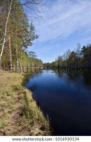 The forest river in the national park of Russia is springtime. Water spring landscape with trees.