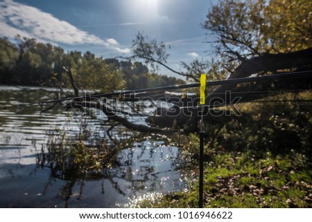 Fishing park at Budapest, next to river Daunbe. Royalty-Free Stock Photo #1016946622