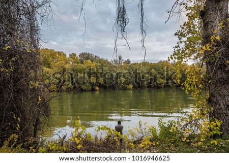 Fishing park at Budapest, next to river Daunbe. Royalty-Free Stock Photo #1016946625