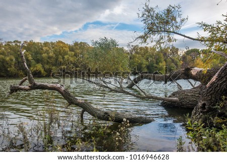 Fishing park at Budapest, next to river Daunbe. Royalty-Free Stock Photo #1016946628