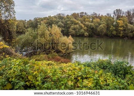 Fishing park at Budapest, next to river Daunbe. Royalty-Free Stock Photo #1016946631