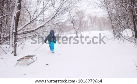 The kid is lucky the sledge on snow. The little boy walks in the winter in the park. Snow winter
