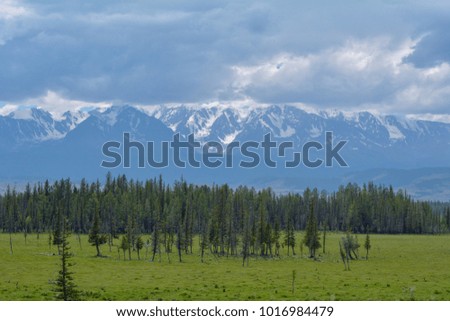 Snowy mountain tops in front of a beautiful coniferous forest. Royalty-Free Stock Photo #1016984479