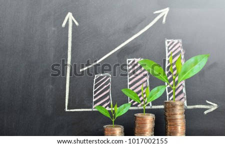 coins saving growth up increase to profit for concept investment mutual fund finance and business