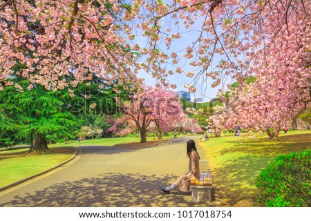 Unidentified woman relaxes under blossoming cherry tree in Shinjuku Gyoen National Garden. Shinjuku Gyoen is the best places in Tokyo to see cherry blossoms. Springtime, blu sky. Royalty-Free Stock Photo #1017018754