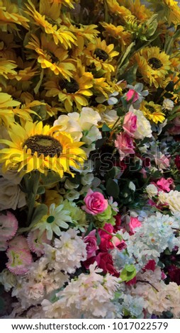 Decorative beautiful flowers mixed all colours 