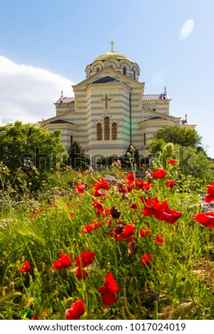 Vladimirsky temple in Chersonese Taurian, Sevastopol, Crimea, Russia, sunny day and blooming poppies