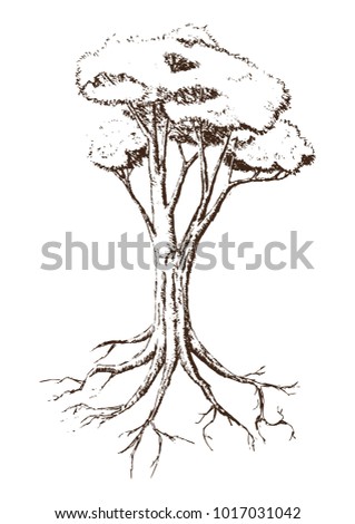 Single Tree Drawing.tree silhouettes on white background. Hand-drawn sketch illustration